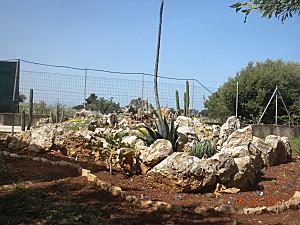 giardino roccioso