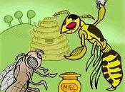 Calabroni ghianda zucca Audio Fiabe