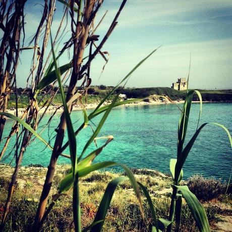 Day 1 in Puglia: Canneto