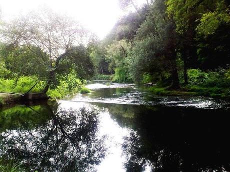 date una mano al Nostro Fiume Olona