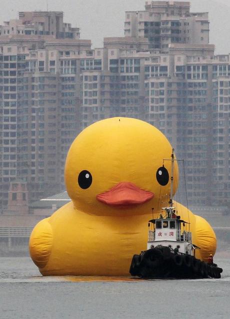 Rubber duck