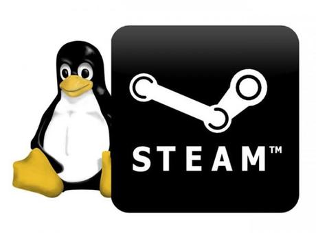 steam for linux