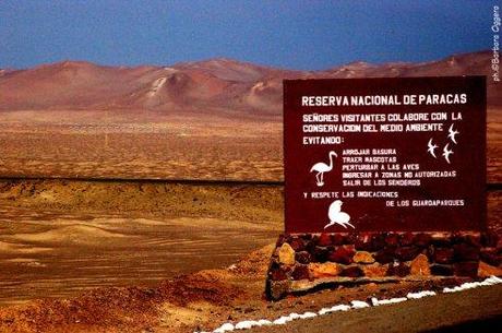 Il deserto e una civiltà scomparsa: la Riserva Nazionale di Paracas in Perù