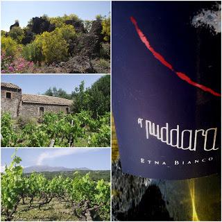 A' PUDDARA, Etna DOC Bianco di Tenuta di Fessina : PRESS