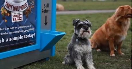ROFL: Vending Machine per i bravi cani.