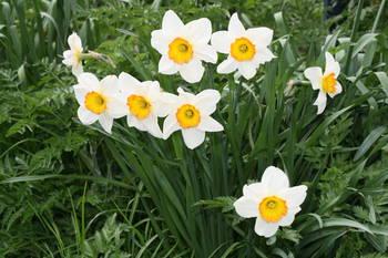 E' arrivata anche qui (forse...)