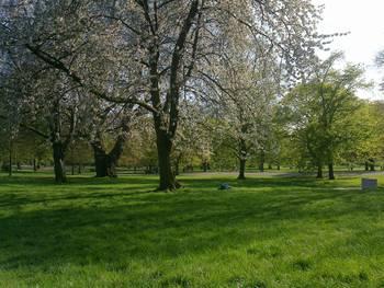 E' arrivata anche qui (forse...)