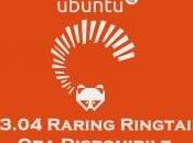 Disponibile nuovo Ubuntu 13.04 Raring Ringtail interessanti miglioramenti