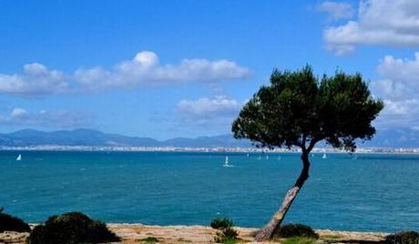 _palma_bay_palma_di_maiorca