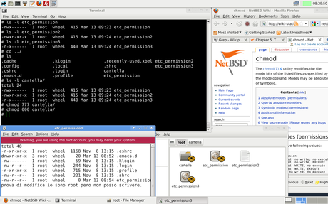 NetBSB - Chmod