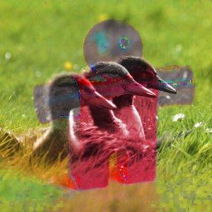 Come diventare un mago di GIMP: ventuno modalità di livello chiamate anche «modalità di sfumatura». Esempio per la modalità di livello Colore