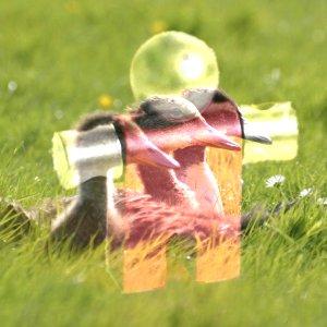 Come diventare un mago di GIMP: ventuno modalità di livello chiamate anche «modalità di sfumatura». Esempio per la modalità di livello Somma