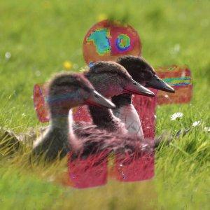 Come diventare un mago di GIMP: ventuno modalità di livello chiamate anche «modalità di sfumatura». Esempio per la modalità di livello Tonalità