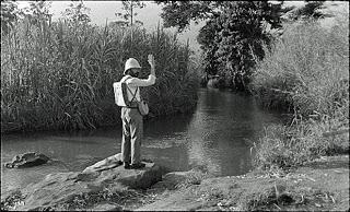 Miguel Gomes: Tabu (recensione)