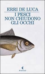 I pesci non chiudono gli occhi, Erri De Luca