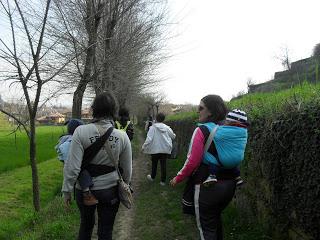 Passeggiate nel bosco maggio. Ecco il calendario