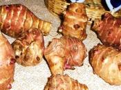 Topinambùr alla maniera Escoffier