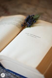 Uscite Austeniane: A proposito di Jane Austen di Federica Marchetti Uscite Austeniane: A proposito di Jane Austen di Federica Marchetti