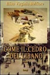 Foggia: Martedì 7 maggio la presentazione del romanzo di Elisa Belfiore