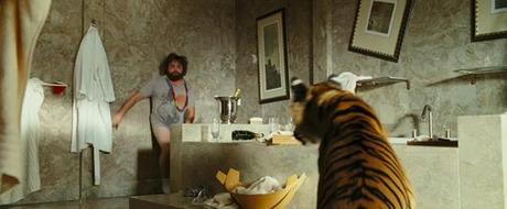 Ops caro...c'è una tigre nel bagno! Donna rivive il dramma di Leo Gullotta