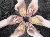 Produrre propri semi