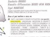 grigio puzza. risposta dell'Assessore Niccolò Venanzi.