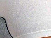 Gallina canta fatto l'uovo...ma l'assorbente almeno puzza!