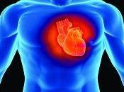 Problemi cardiaci, quali antibiotici fanno male cuore?