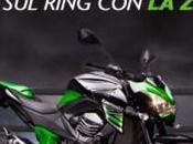 Kawasaki lancia nuova applicazione Facebook dedicata alla Z800