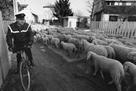 postino-in-bici