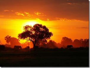 africa-photos-2841