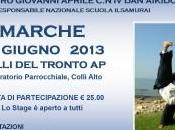 Aikido, stage maestro Giovanni Aprile giugno Colli Tronto