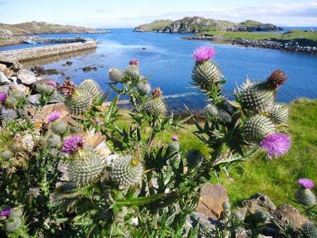 La Scozia di Lucia: South Harris e la chiesa di St Clement’s