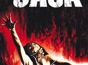 casa (1981)