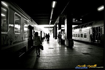 sul treno per Desio