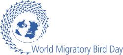 Manfredonia: World Migratory Bird Day 2013