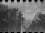 World Wide Pinhole Photography 2013 Pretty