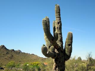 The spirit eyes of Sedona