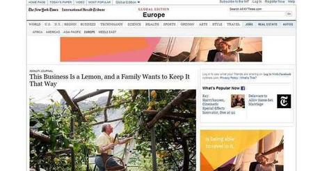 I Limoni di Sorrento in prima pagina sul New York Times