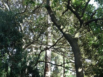 Pomeriggio all'Orto Botanico di Napoli