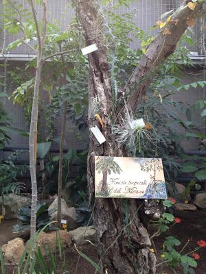 Pomeriggio all'Orto Botanico di Napoli