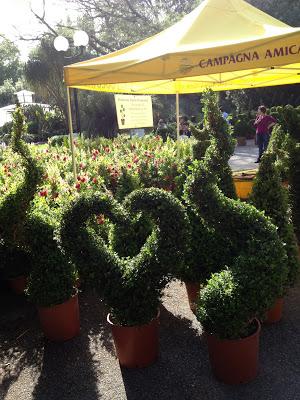 Pomeriggio all'Orto Botanico di Napoli