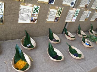 Pomeriggio all'Orto Botanico di Napoli