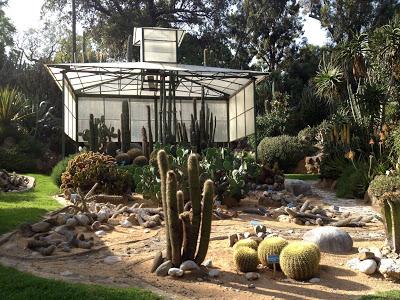 Pomeriggio all'Orto Botanico di Napoli