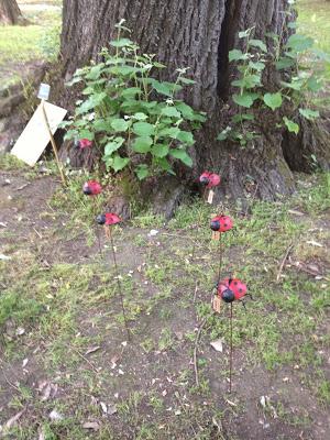 Pomeriggio all'Orto Botanico di Napoli