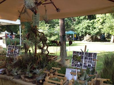 Pomeriggio all'Orto Botanico di Napoli