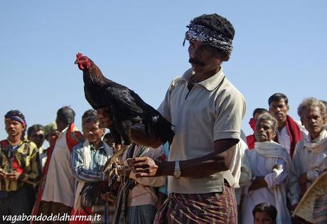 chhattisgarh