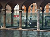 torre papito largo argentina diventato dormitorio. dopo trasloco coatto delle gattare, volta barboni degli sbandati