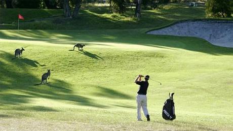 Anglesea-Golf-Club