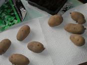 Un'idea patate!